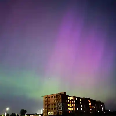 Picture for song 'Afterlife's Regression' by artist 'Johanna Renfro'