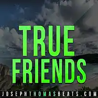 Picture for song 'True Friends' by artist 'Joseph Thomas Beats'