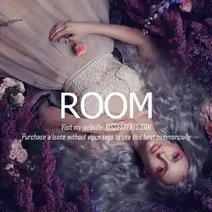 Picture for song 'ROOM (Guitar x Pop x Sad x Lyric Type Beat)' by artist 'Kisses Beats'