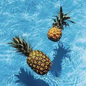 Picture for song 'VACATION' by artist 'Prod. 8lueredd'