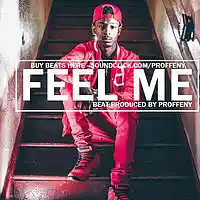 Picture for song '*FIRE* Feel Me ' by artist 'Proffeny'