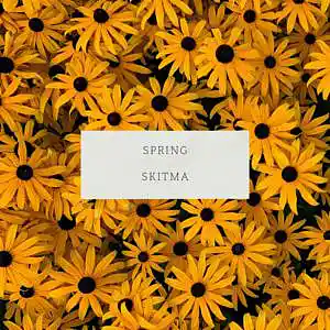 Picture for song 'Spring (127bpm)' by artist 'SkitMa'
