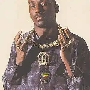 Picture for song 'BIG DADDY KANE TYPE BEAT' by artist 'L1DAPRODUCER'