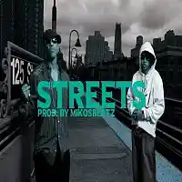 Picture for song 'Streets (Beat Store: www.mikosbeatz.com)' by artist 'Mikosbeatz'