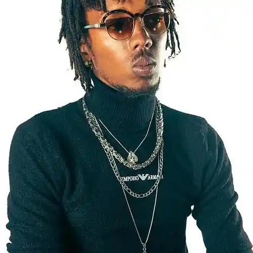Artist picture