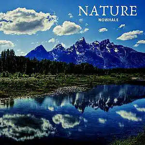 Picture for song 'NoWhale - Nature (chill)' by artist 'NoWhale'