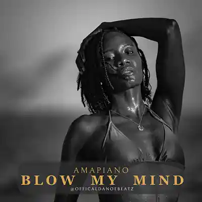 Picture for song 'BLOW MY MIND - Amapiano' by artist 'OfficialDanoeBeatz'