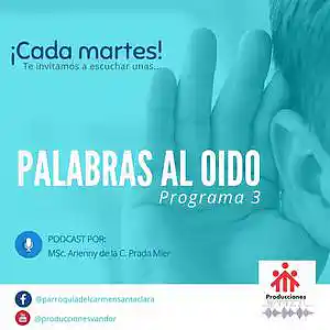 Picture for song 'Palabras al oído- Programa 3' by artist 'Producciones Vandor'
