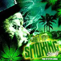 Picture for song 'Steady What u smoking Prod By Steve Woodz' by artist 'Steve Woodz'