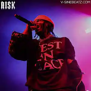 Picture for song 'Risk (Buy 1 Get 1-3 FREE)' by artist 'V-Sine Beatz'