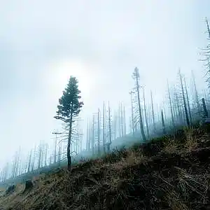 Picture for song '"Where At" Beat for Sale' by artist 'whoDeanyBeatz'