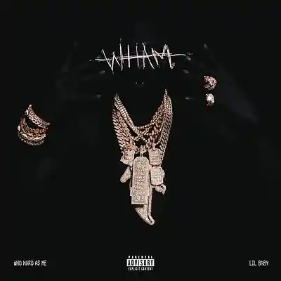 Picture for song 'LIL BABY WHAM TYPE 10 ( BUY 1 GET 1 FREE )' by artist 'Acodex'