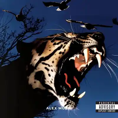 Picture for song 'MINDSET - LIL BABY TYPE BEAT' by artist 'Alex Muzic'
