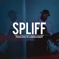 Picture for song 'Spliff ' by artist 'AndreOnBeat'