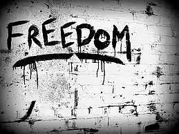 Picture for song 'Freedom ( .75 Cent Demo DL )' by artist 'Beats By Young'
