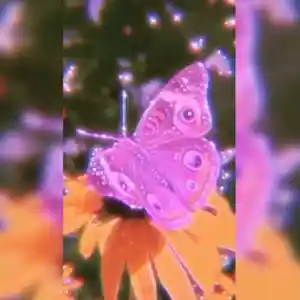 Picture for song 'PLUG PLANS (BUY 1 GET 4 FREE)' by artist 'DreamBigRecords'