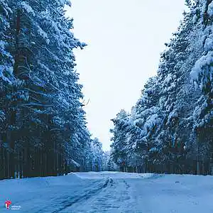 Picture for song 'Mirage' by artist 'Ezhdee'