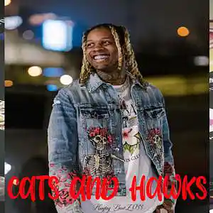 Picture for song 'Cats & Hawks' by artist 'Hashtag6eatZ033'
