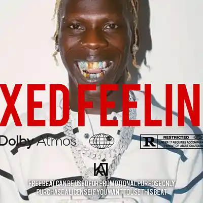 Picture for song 'MiXED FEELINGS' by artist 'Kumonanaa'