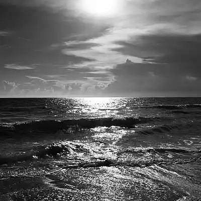 Picture for song 'DOGS II (FREE DOWNLOAD)' by artist 'Le Black James on the Track'