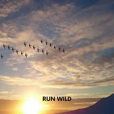 Picture for song 'RUN WILD [COUNTRY RAP TYPE BEAT]' by artist 'Malley Beats'