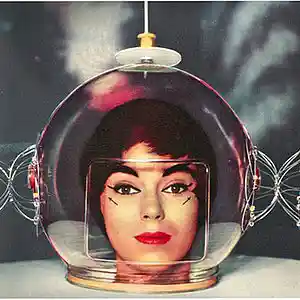 Picture for song 'She Blinded Me With Science' by artist 'Relative Rabbit'