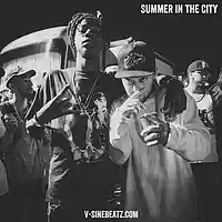 Picture for song 'Summer In The City (Buy 1 Get 1-3 FREE)' by artist 'V-Sine Beatz'