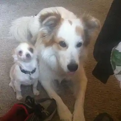 Picture for song '01-24-90bpm' by artist 'MeanStreetBeatz (RADARMUZIK)'