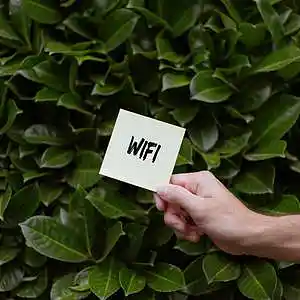 Picture for song 'Wi-Fi' by artist 'Ndole Beats'