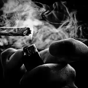 Picture for song 'Spliff' by artist 'Overgame'