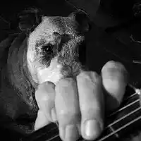 Picture for song 'The key...' by artist 'stefanos grigoriadis'