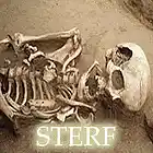 Picture for song 'STERF' by artist 'Trypanosome'