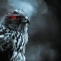 Picture for song 'BLACK BIRD *Gangsta Trap* Free Download' by artist 'YB MUZiK'