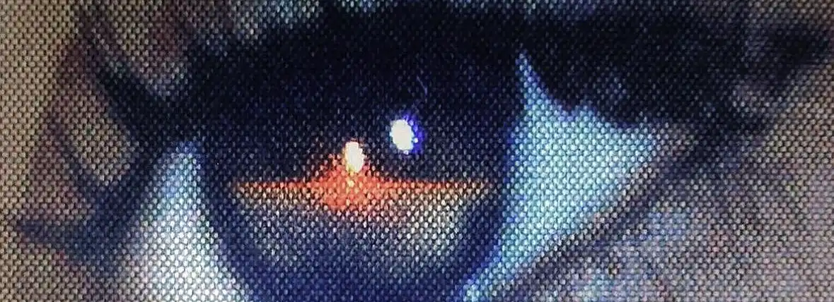cover pic