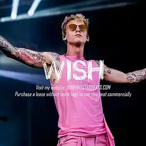 Picture for song 'WISH (Pop Punk x MGK x jxdn x Rock x Alternative)' by artist 'BURNING STAR'