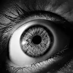 Picture for song '2020' by artist 'Cocoband'