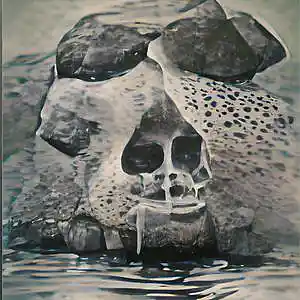 Picture for song 'The Fool' by artist 'O5MO515'