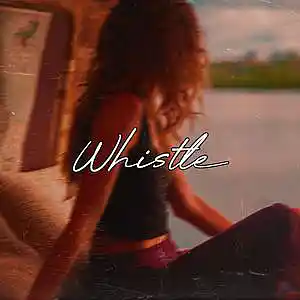 Picture for song 'Whistle (Free Download)' by artist 'Frankenstein Beats'