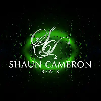 Picture for song 'Free Download - Slip Up' by artist 'ShaunCameron Beats'