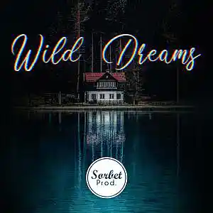 Picture for song 'Wild Dreams' by artist 'Sorbet Prod.'