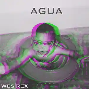 Picture for song 'AGUA' by artist 'Wes Rex'