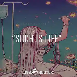 Picture for song 'Such Is Life' by artist 'BMusicProductions'