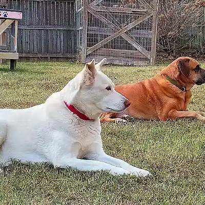 Picture for song 'Mixdown 548' by artist 'Christopher Rush'