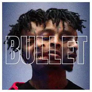 Picture for song 'BULLET / 21 SAVAGE x METRO BOOMIN TYPE BEAT' by artist 'DaReal Beats'