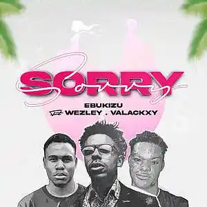 Picture for song 'Sorry Feat. Wezley & Valackxy' by artist 'EBUKIZU'