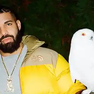 Picture for song 'Made Man' by artist 'John Coleman'