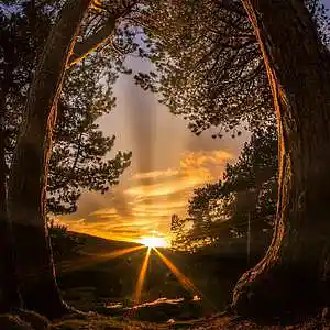 Picture for song 'Burning Bridges- Gary Ramsey' by artist 'Rick Smerage'