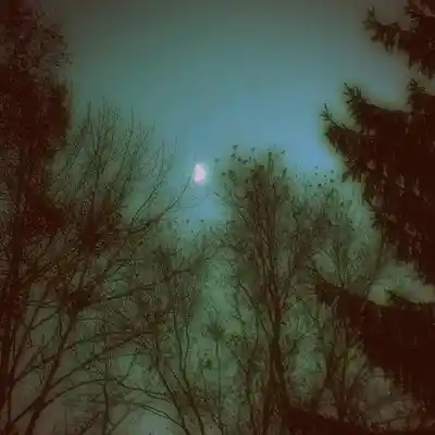 Picture for song 'STILL THE 3 AM' by artist 'Saul Good'