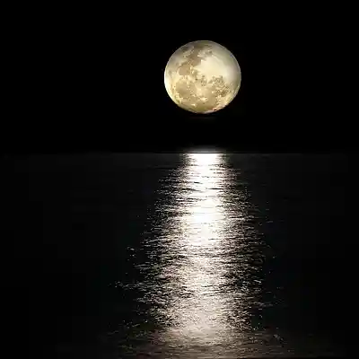 Picture for song 'W Blasku Księżyca In the Moonlight' by artist 'Vitiyu'