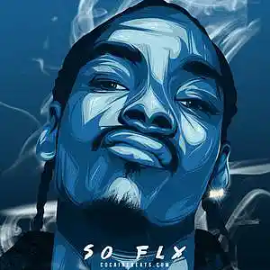 Picture for song 'So Fly ( Snoop Dogg x Dr Dre Type Beat )' by artist 'Cocaine Beats'